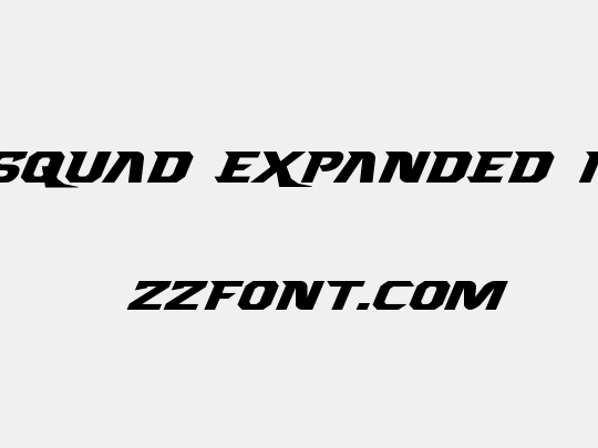Borgsquad Expanded Italic
