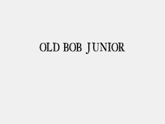OLD BOB JUNIOR