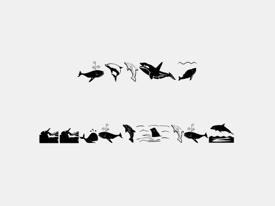 Orcas