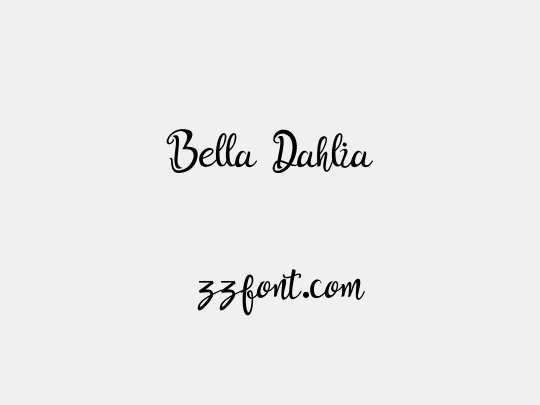 Bella Dahlia
