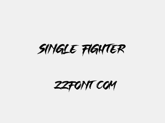 SINGLE FIGHTER