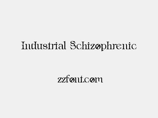 Industrial Schizophrenic