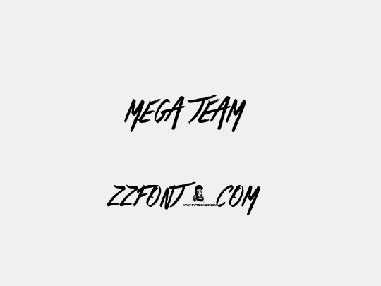 Mega Team 