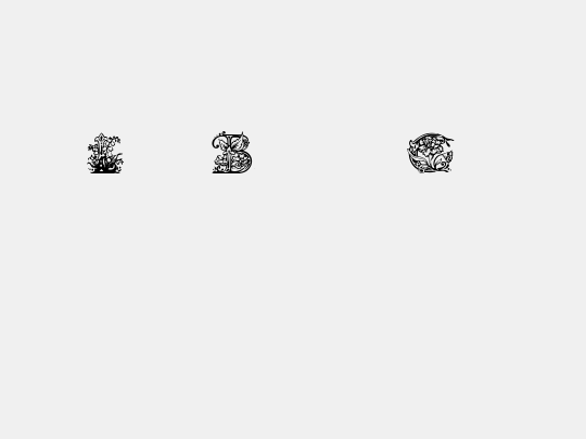 Lime Blossom Caps