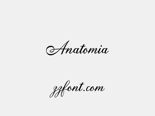 Anatomia