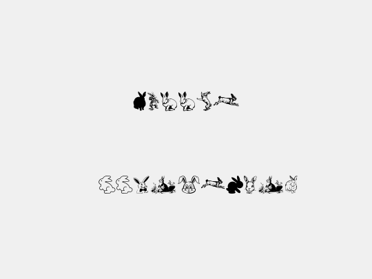 Rabbit