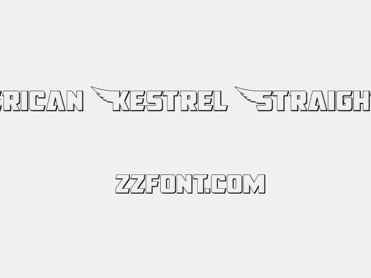 American Kestrel Straight 3D