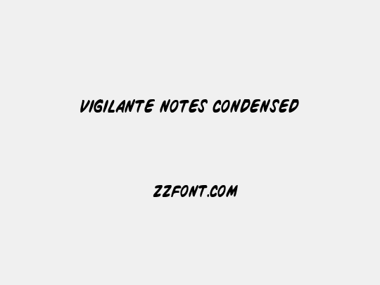 Vigilante Notes Condensed