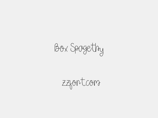 Box Spagethy