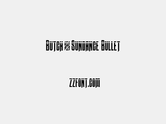 Butch & Sundance Bullet