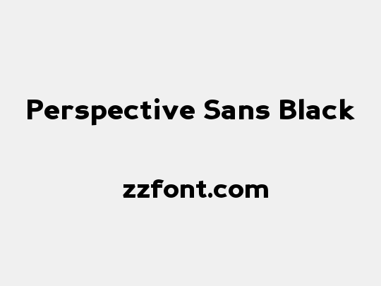 Perspective Sans Black