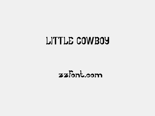 LITTLE COWBOY