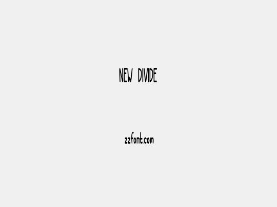 NEW DIVIDE