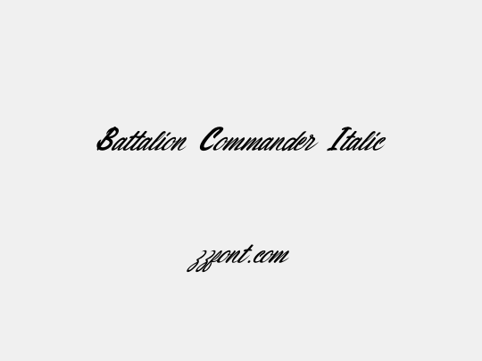 Battalion Commander Italic