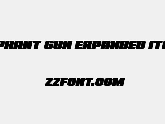 Elephant Gun Expanded Italic