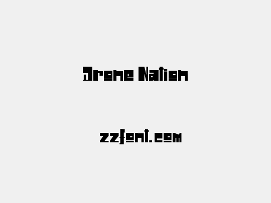 Drone Nation