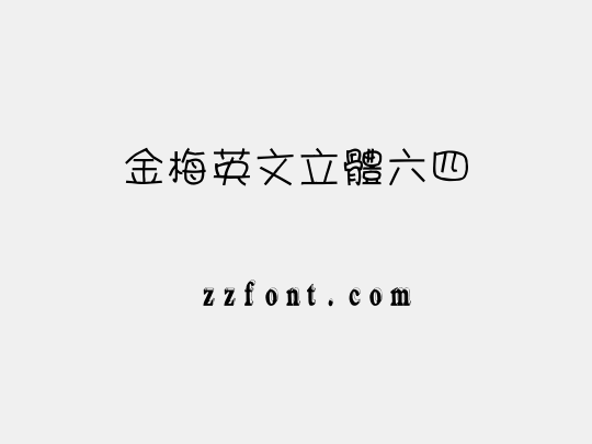 金梅英文立體六四