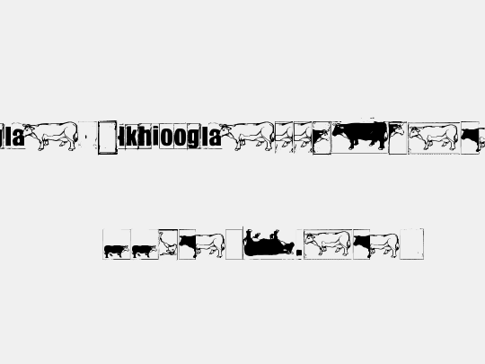 IKHIOOGLAcow