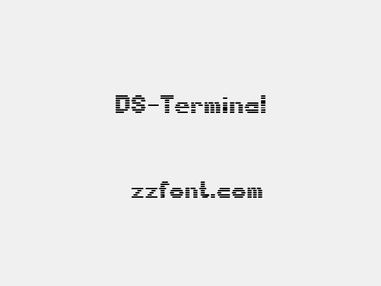 DS-Terminal