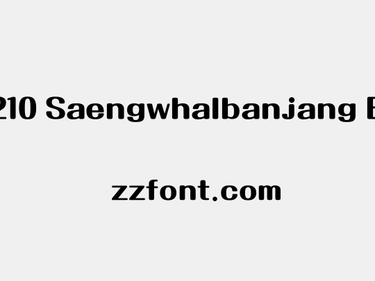 210 Saengwhalbanjang B