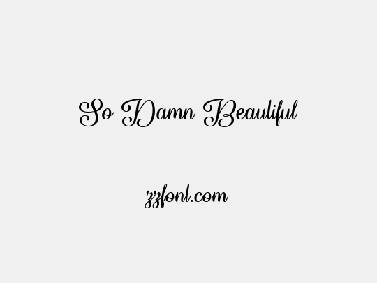 So Damn Beautiful