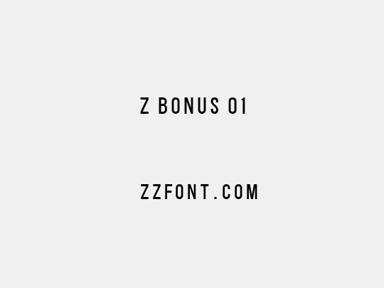 Z BONUS 01