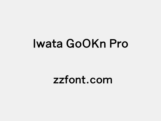 Iwata GoOKn Pro