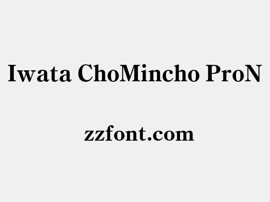 Iwata ChoMincho ProN