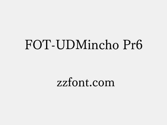 FOT-UDMincho Pr6