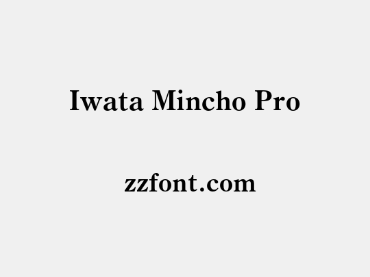 Iwata Mincho Pro