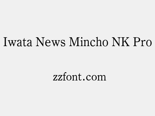 Iwata News Mincho NK Pro