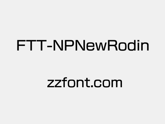 FTT-NPNewRodin