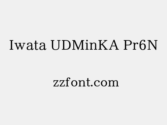 Iwata UDMinKA Pr6N