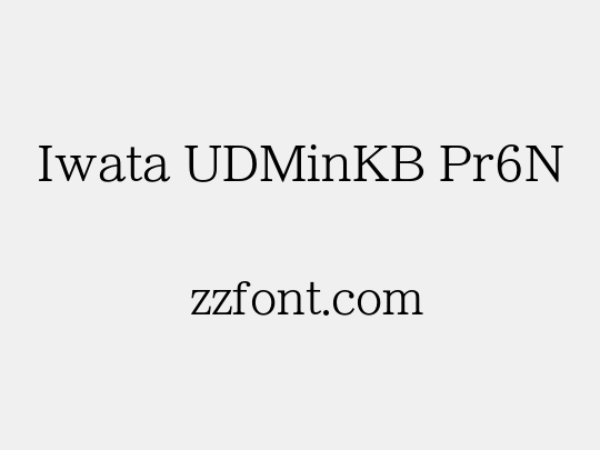 Iwata UDMinKB Pr6N