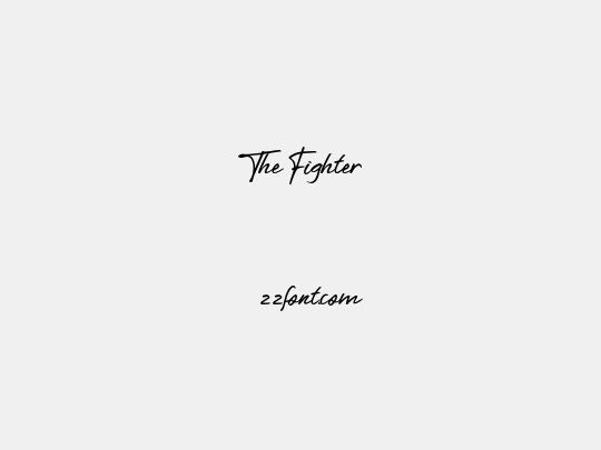 The Fighter