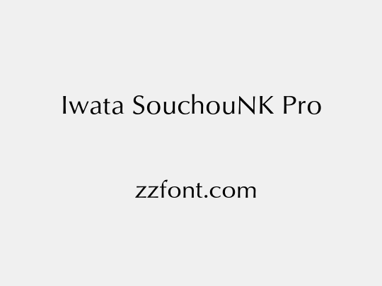Iwata SouchouNK Pro
