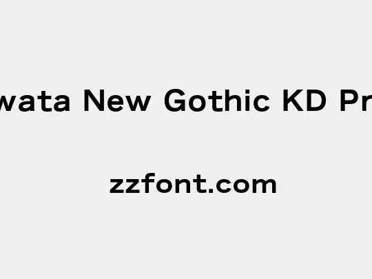 Iwata New Gothic KD Pro