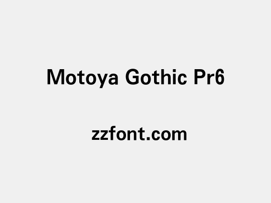 Motoya Gothic Pr6