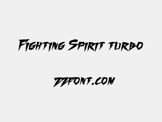Fighting Spirit turbo