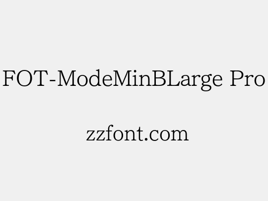 FOT-ModeMinBLarge Pro