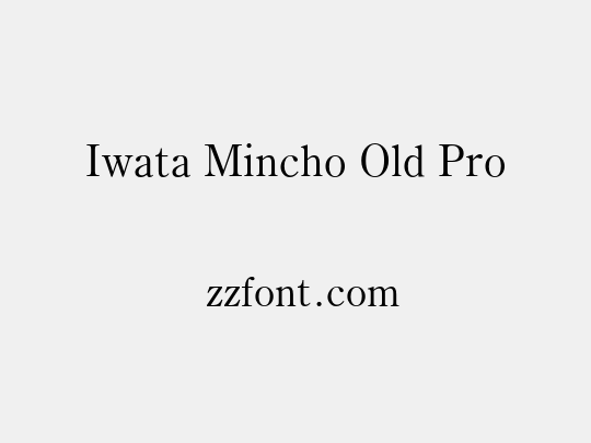 Iwata Mincho Old Pro