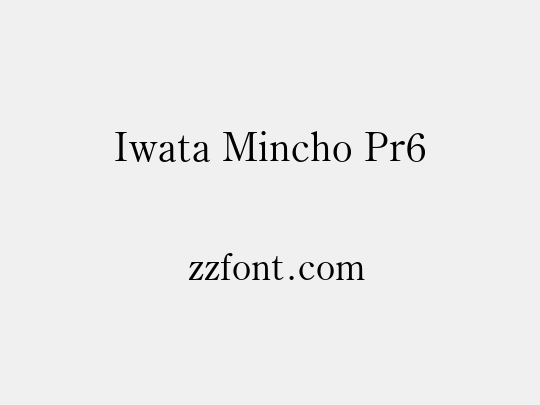 Iwata Mincho Pr6
