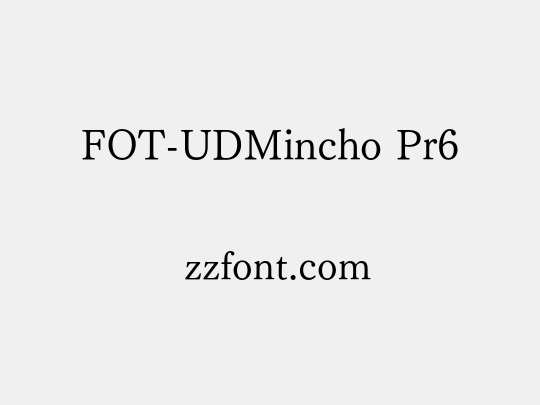 FOT-UDMincho Pr6