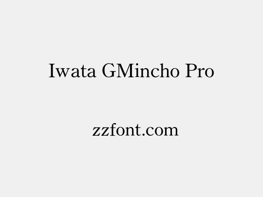 Iwata GMincho Pro