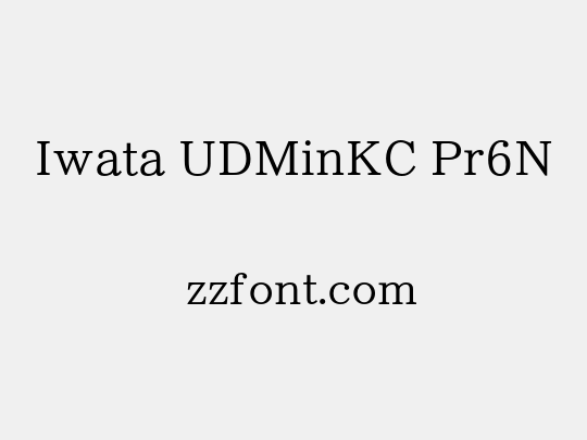 Iwata UDMinKC Pr6N