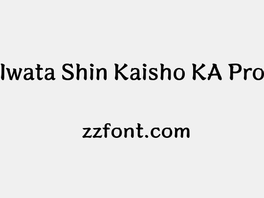 Iwata Shin Kaisho KA Pro