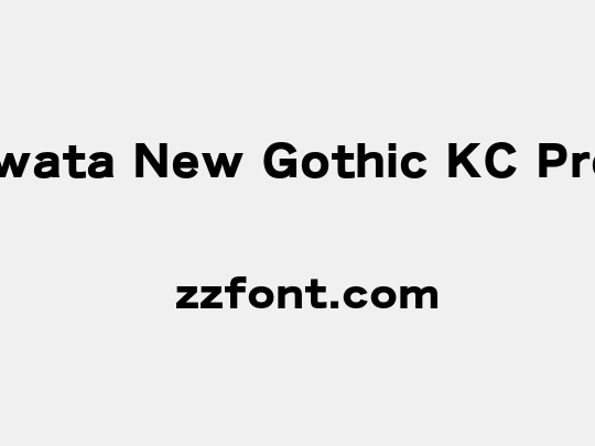 Iwata New Gothic KC Pro