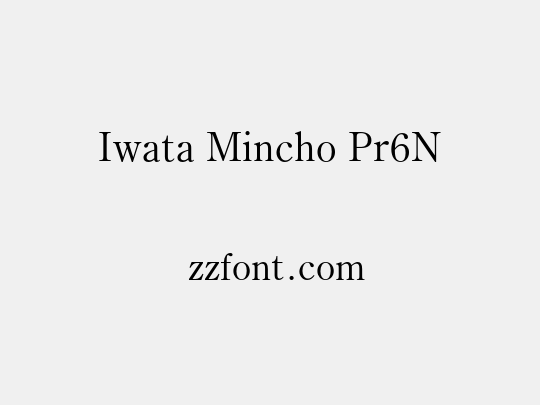 Iwata Mincho Pr6N